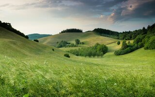 Eine sanfte, grüne Hügellandschaft unter einem bewölkten Himmel. Bäume und Sträucher säumen die Wiesen, die weitläufig und idyllisch wirken.
